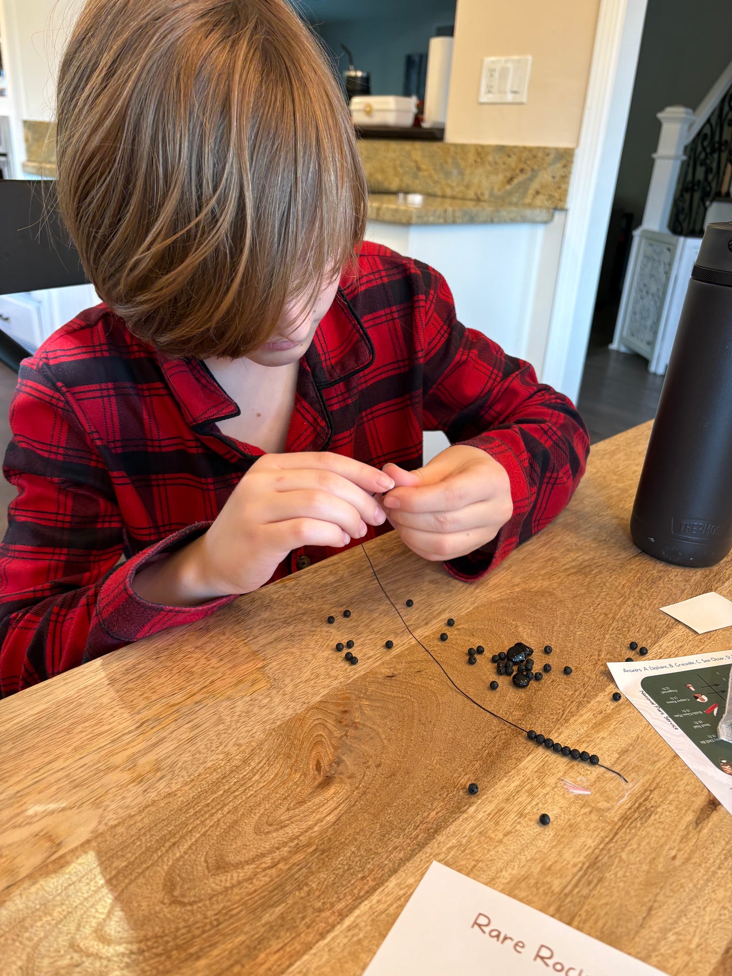 NEW Earth Magic Club Geology Unit