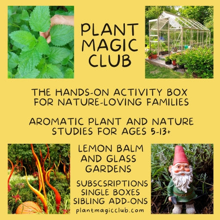 Lemon Balm and Glass Gardens - Spring 2025