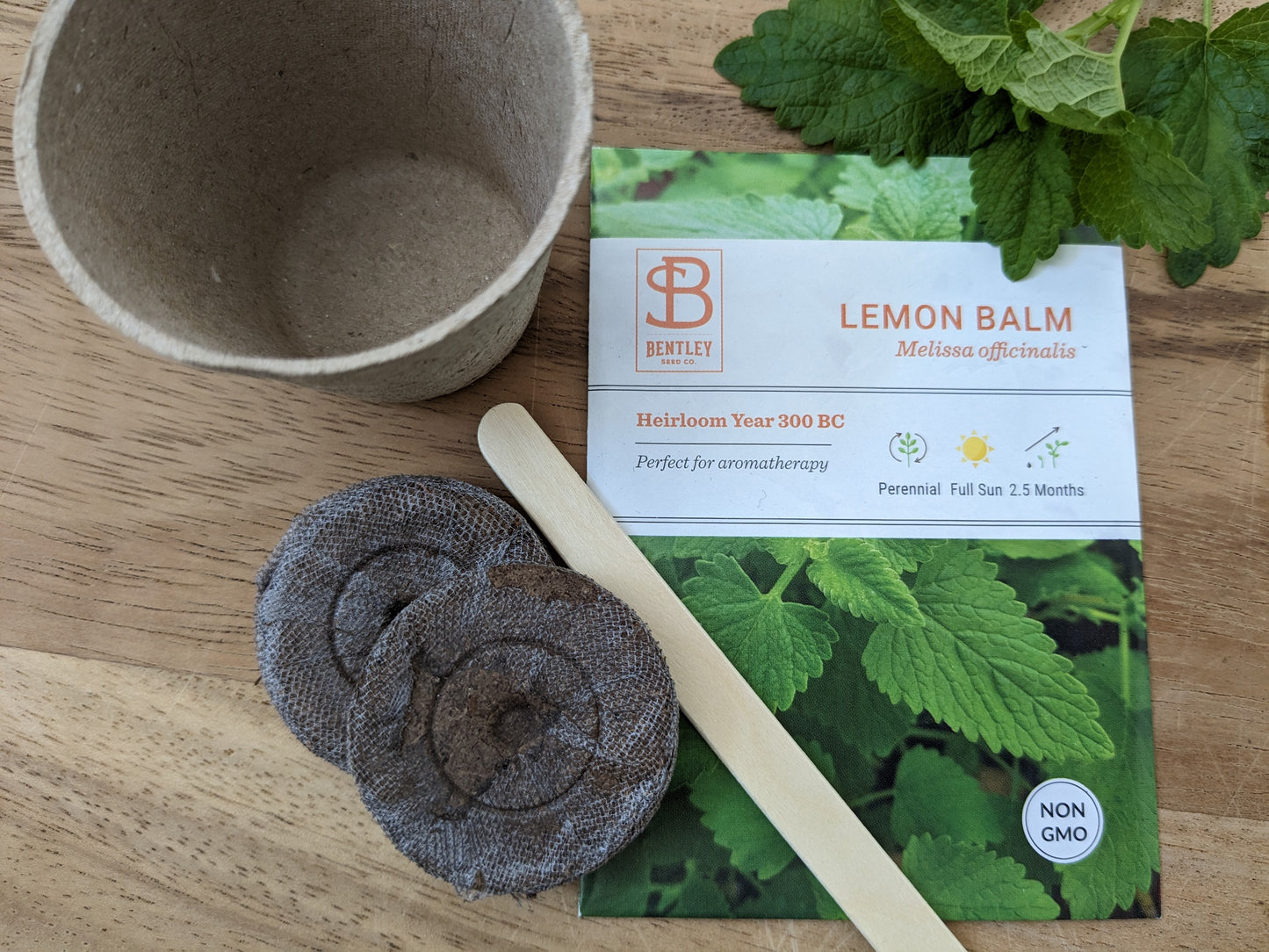 Lemon Balm and Glass Gardens - Spring 2025