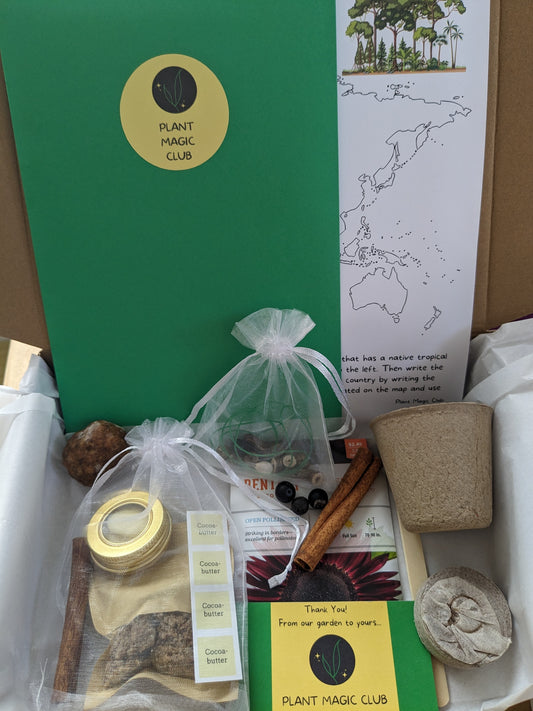 Cinnamon, Cocoa and Treasures of the Rainforest