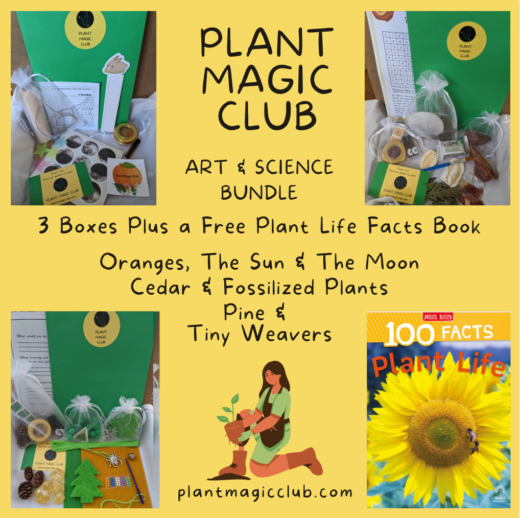 Art and Science Bundle Spring 2025 Plant Magic Club