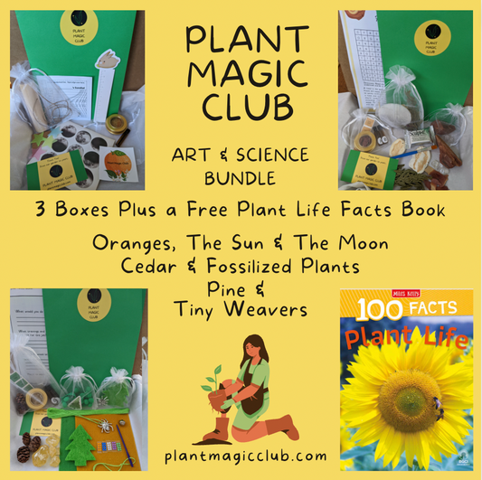 Art and Science Bundle