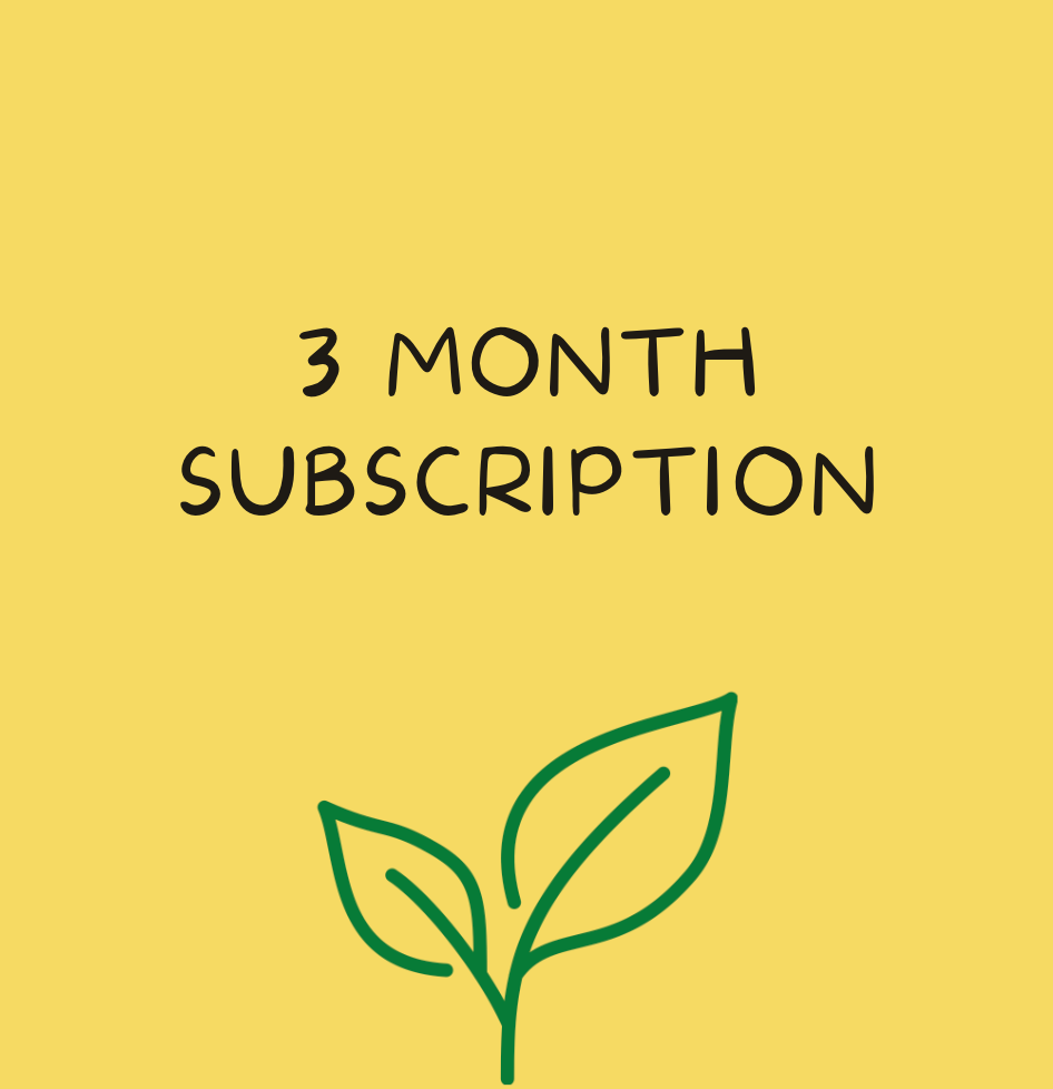 3 Month Subscription