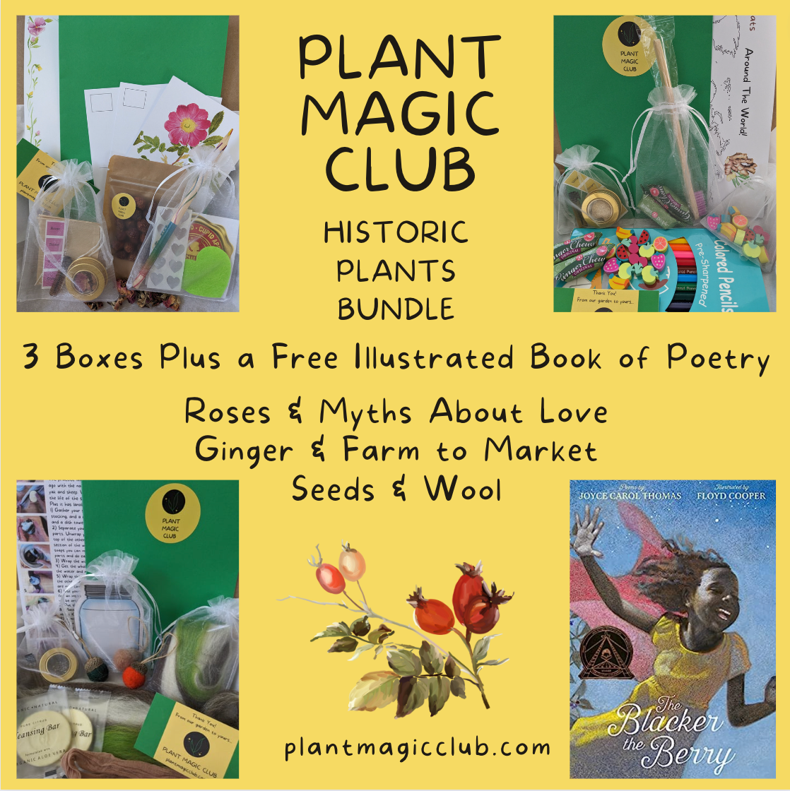 Historic Plants Bundle - (Available Jan. '26)