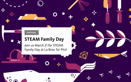 See you at the STEAM Festival!