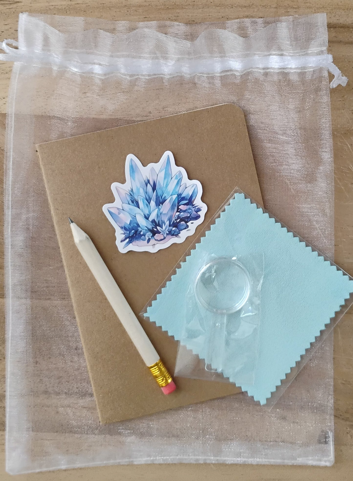 NEW Earth Magic Club Geology Unit