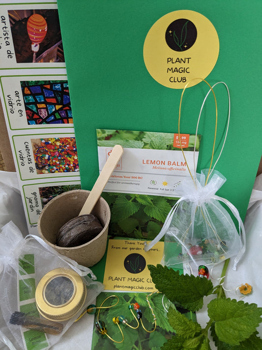 Lemon Balm and Glass Gardens
