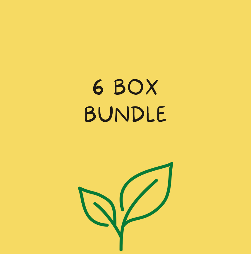 NEW 6 Box Bundle - Fall '24
