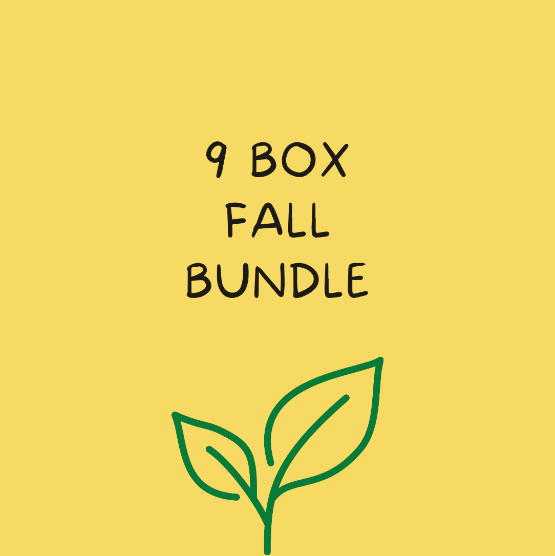 9 Box Bundle - Fall 2024